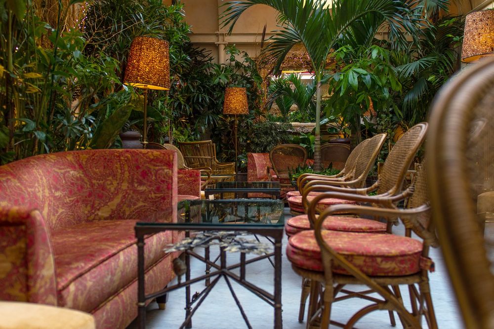 Palms, lamps and upholstered armchairs in the Winter Garden room at Rules, Covent Garden