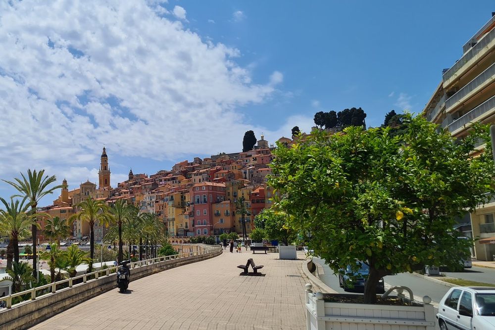 The palm-lined esplanade by the sea in Menton, with the old town and basilica bell tower ahead