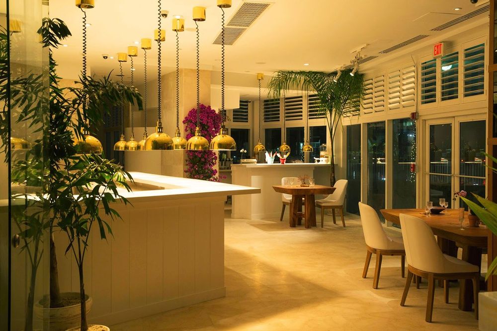 Pendant lights, plants and leather chairs in the dining room of Elcielo on the Miami River, Brickell