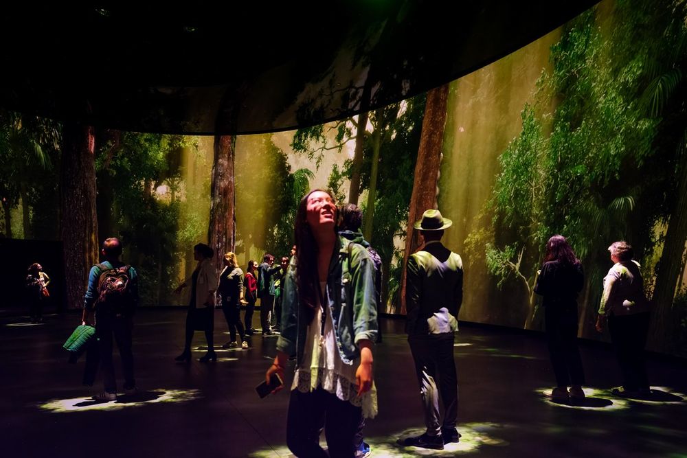 Visitors in a softly lit, immersive gallery at the American Museum of Natural History