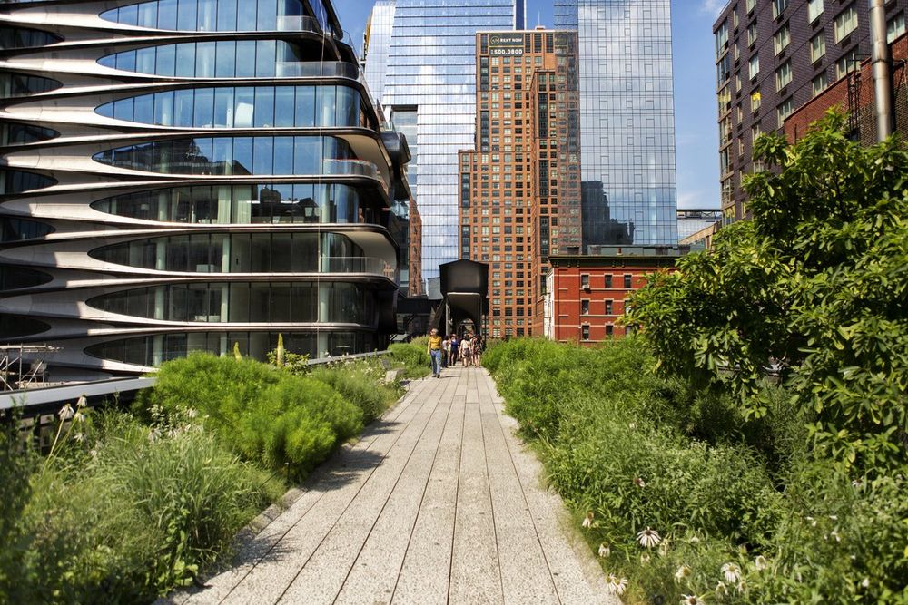 The High Line's paved path through planting beds beside the curving glass towers of West Chelsea