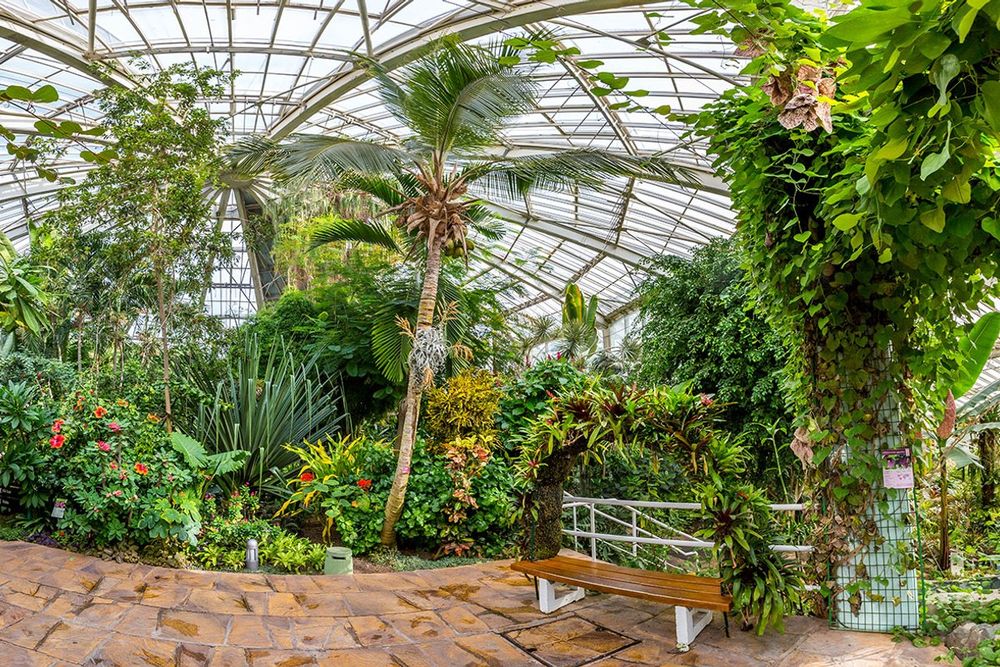 Palms, tropical plants and a bench under the glass dome of the great greenhouse at Parc Phoenix, Nice
