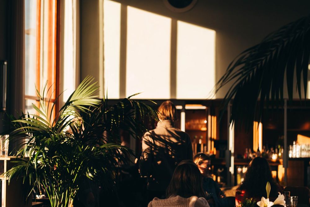 Late sun through the tall windows of the Byens Tak bar room, with palms and guests at the tables