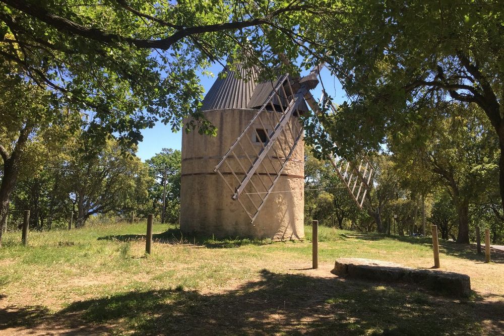 The Moulin de Paillas framed by oak trees on the hill above Ramatuelle