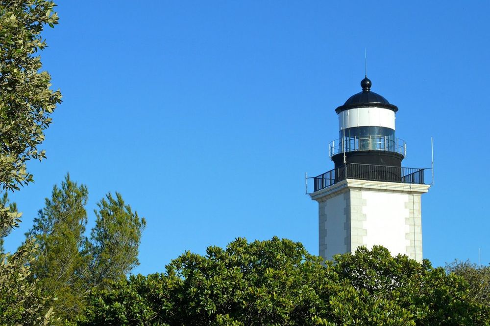 The white tower and black lantern of the Phare de Camarat above the pines