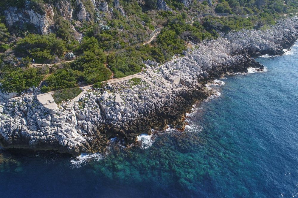 The coastal footpath winding along white rocks and pines above the clear sea at Roquebrune-Cap-Martin