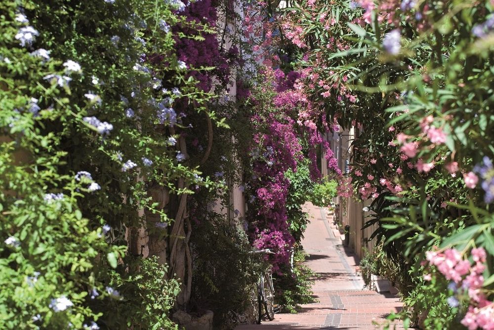 Le Safranier – a walk through Old Antibes' free commune