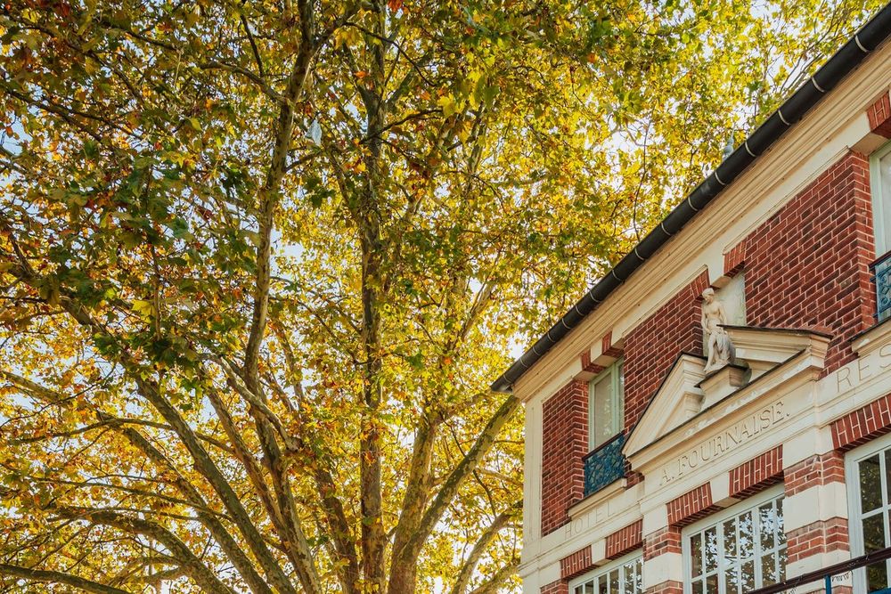 Autumn plane trees beside a brick building on the Île des Impressionnistes in Chatou