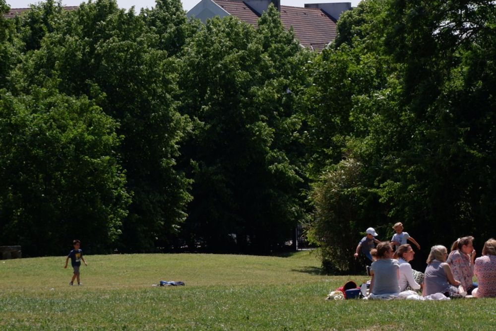 Families picnicking on the lawn under tall trees in the park of the Château de Maisons