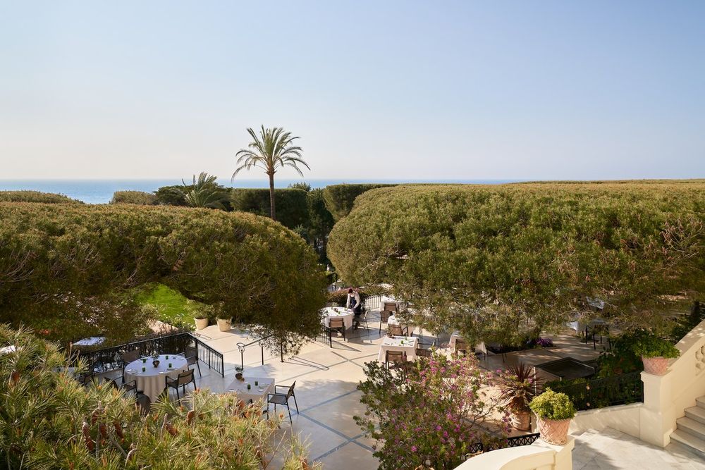 La Véranda at the Grand-Hôtel du Cap-Ferrat under the Aleppo pines