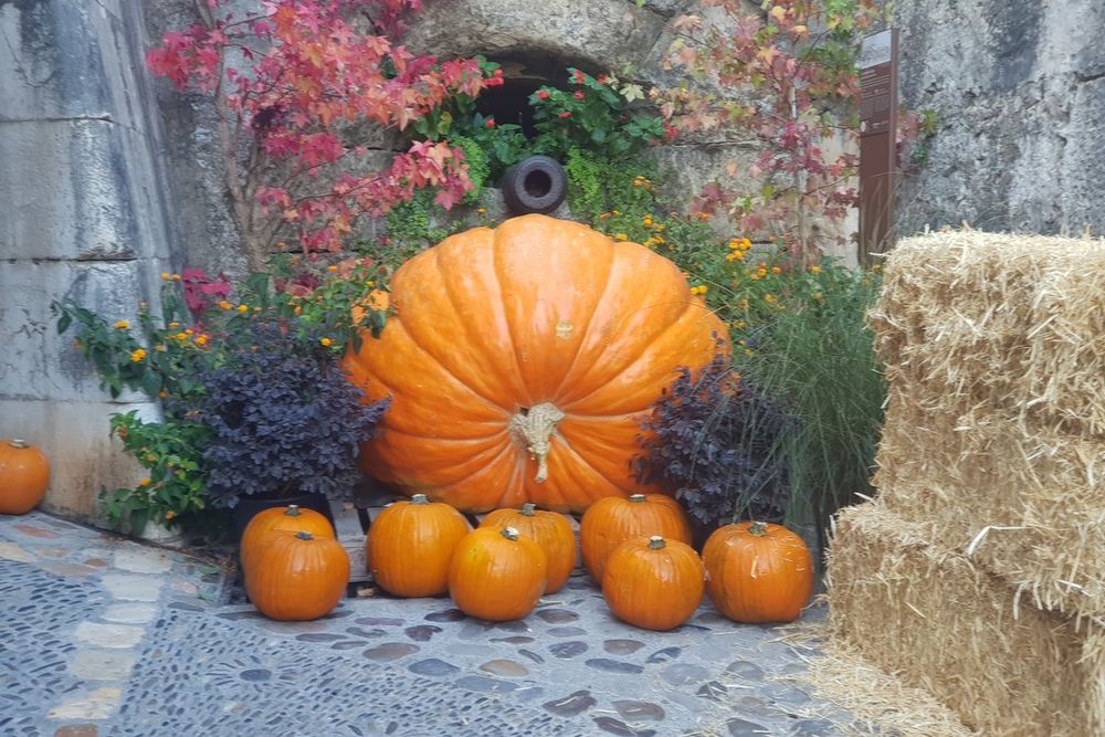A giant pumpkin, straw bales and autumn plants in a lane of Saint-Paul de Vence