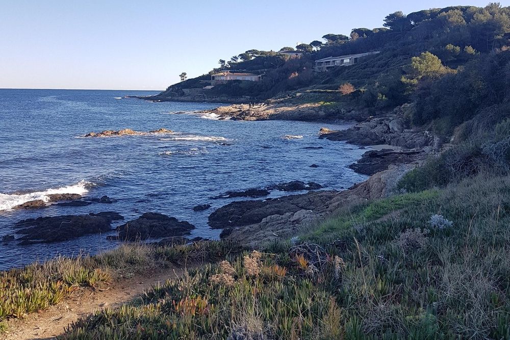 Rocky shore and pine-covered point on the coastal path east of Saint-Tropez