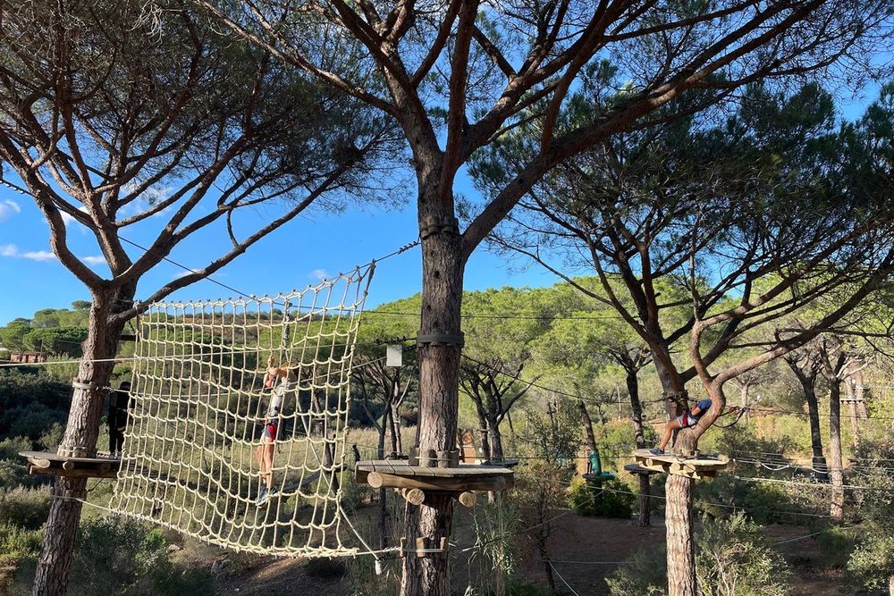 Climbing nets strung between pine trees at the Aventure Famille tree-top park