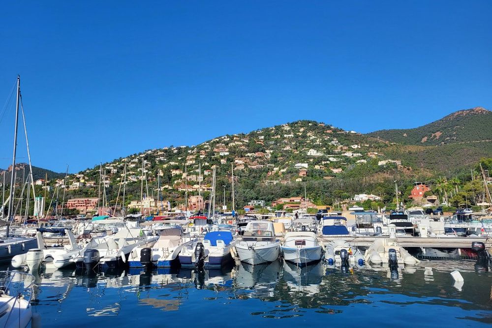 Boats moored in rows at the Port de la Figueirette, with villas on the wooded hillside behind
