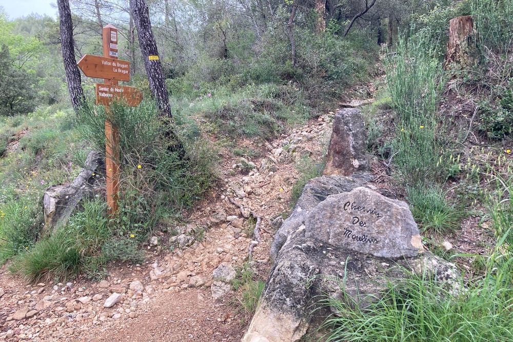 A rocky woodland path and waymark post on the Bruguet loop near Valbonne