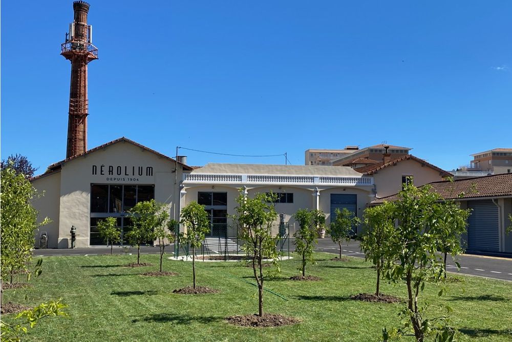The Nérolium distillery in Golfe-Juan with its tall brick chimney, seen across a lawn planted with orange trees