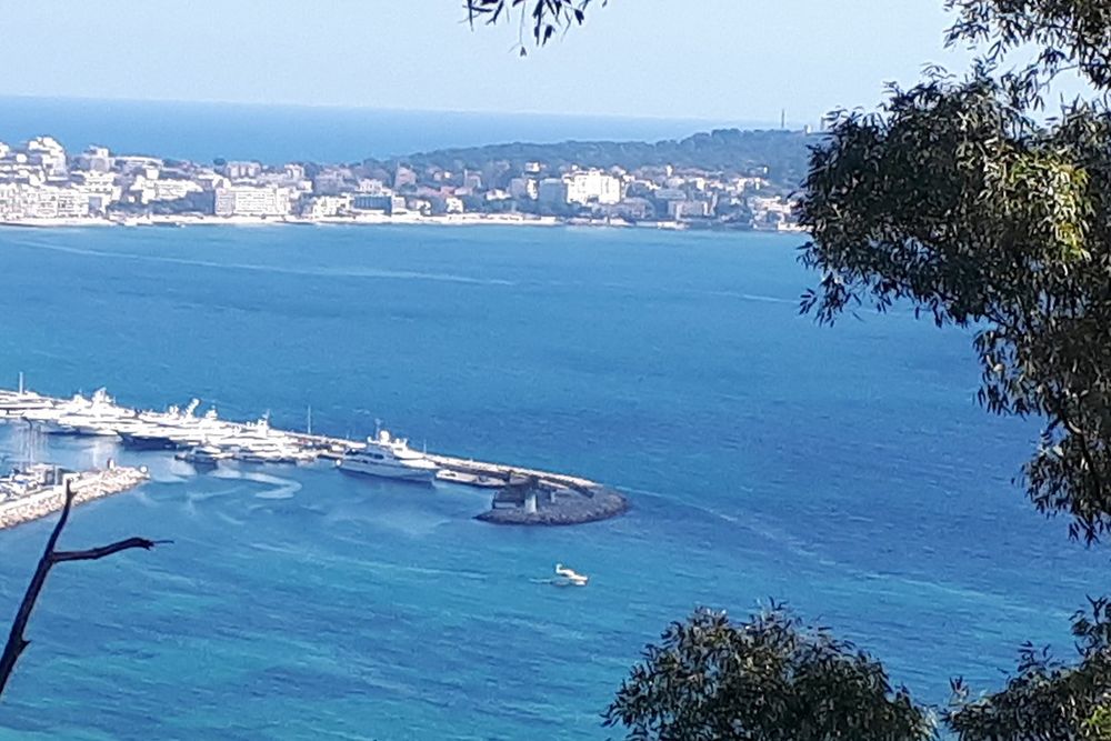 The blue bay and the marina of Golfe-Juan framed by pines, seen from the Massif du Paradou